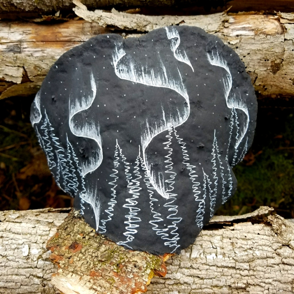 Aurora Borealis - hand drawn on bracket fungus